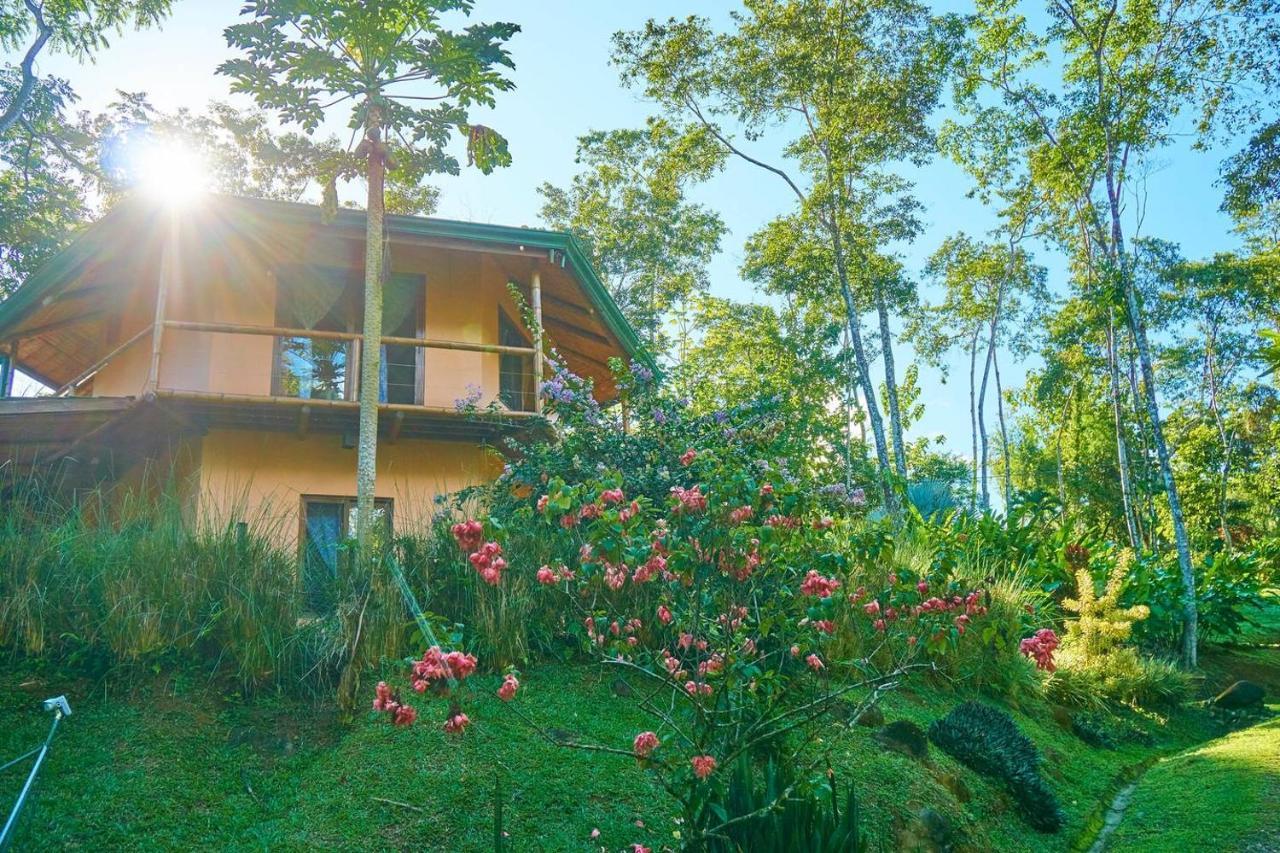 Bed and Breakfast Manoas Увіта Екстер'єр фото